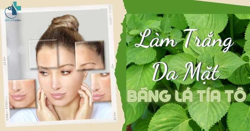 Cách làm trắng da mặt bằng lá tía tô