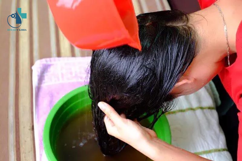 Gội đầu với nước lá ổi ngăn ngừa rụng tóc và trị hói