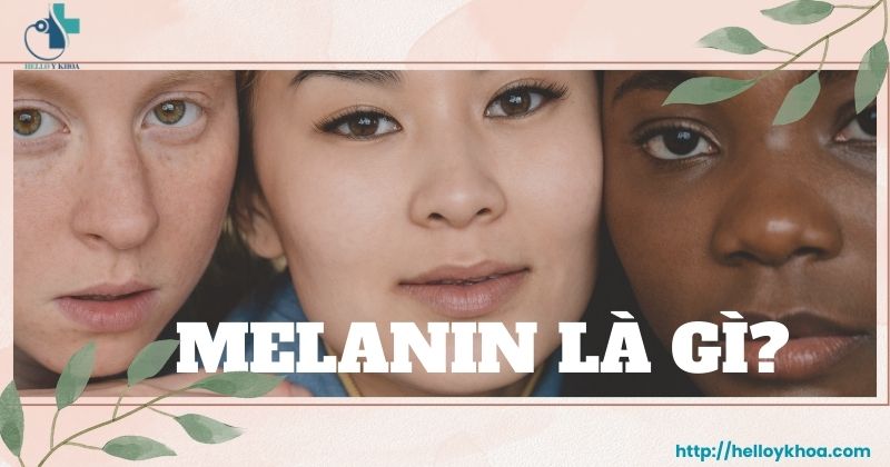Sắc tố melanin là gì?
